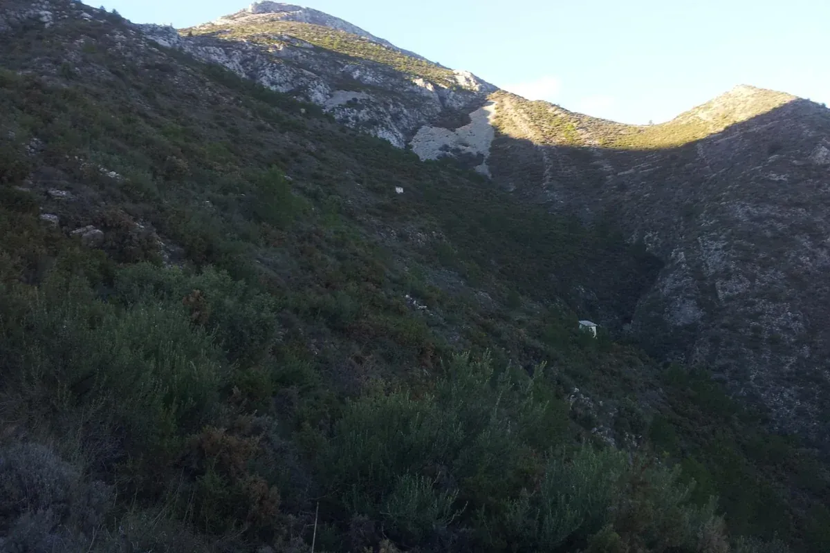 The upper slopes of the Serrella rising towards Malla del Llop