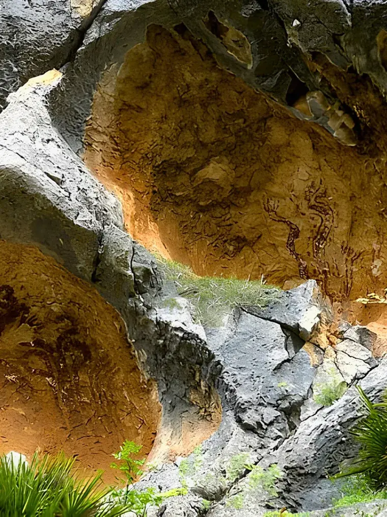 The prehistoric paintings in the ochre rock shelters at Pla de Petracos